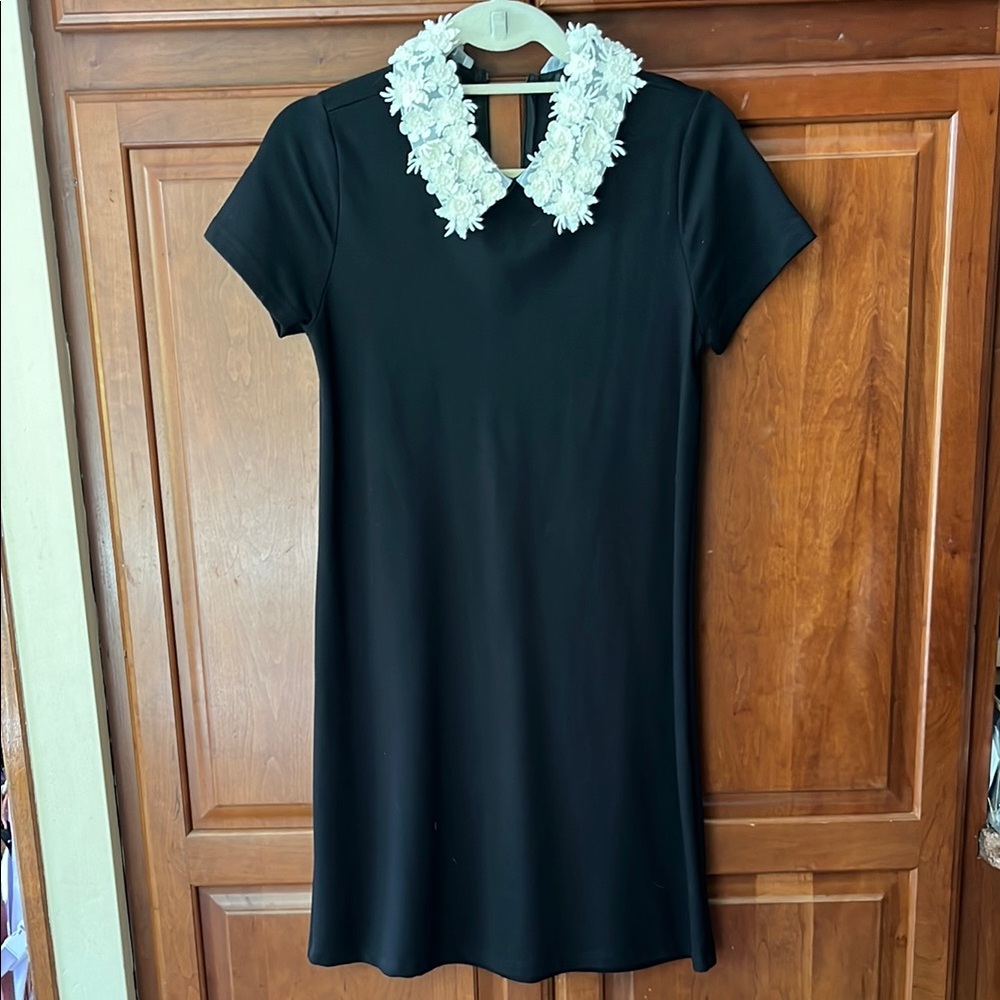 Aqua Black Dress with White Floral Collar